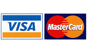 Bank Credit and Debit Cards icone pay