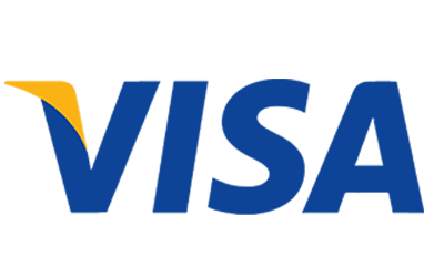Visa icone pay